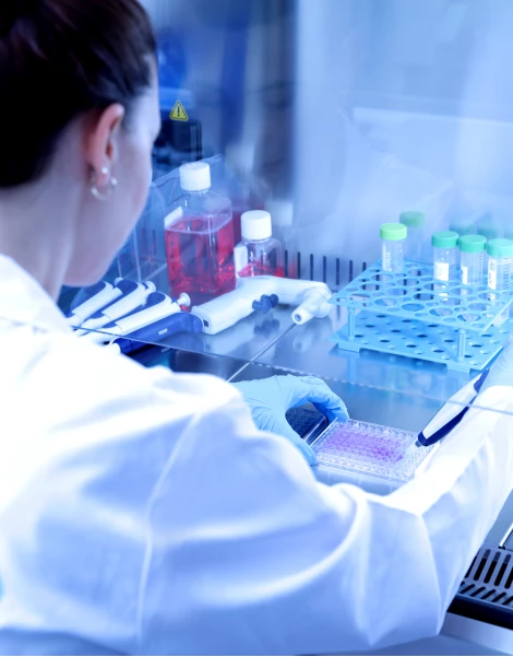 İritasyon Analizleri