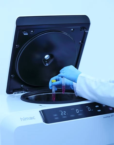 Koruyucu Etkinlik ve Stabilite Analizleri