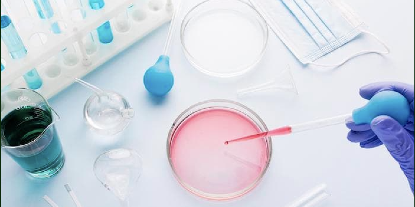 Bakterisidal, Fungisidal ve Virüsidal Etkinlik Anlamı