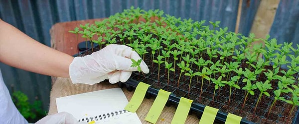 Pesticide Analysis? Methods, Regulations, and Reporting
