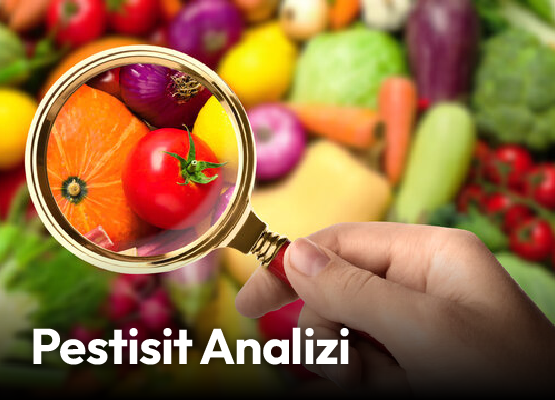 Pestisit Analizi Nasıl Yapılır?